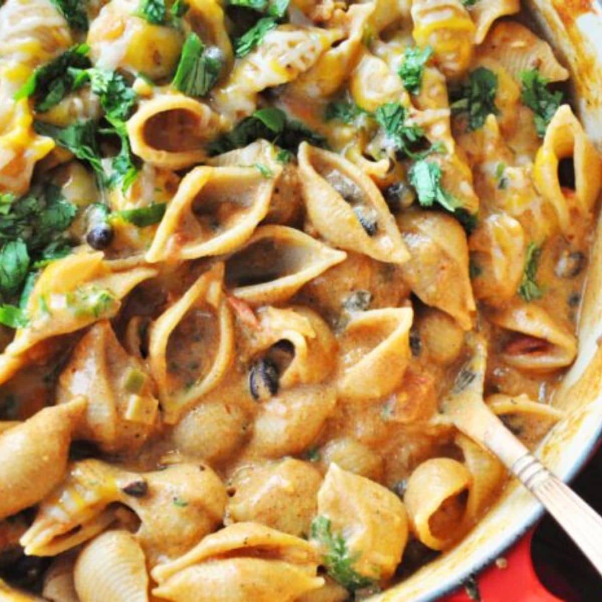 A close-up of Black Bean Enchilada Pasta featuring creamy pasta shells mixed with black beans, enchilada sauce, and garnished with chopped cilantro in a pan.