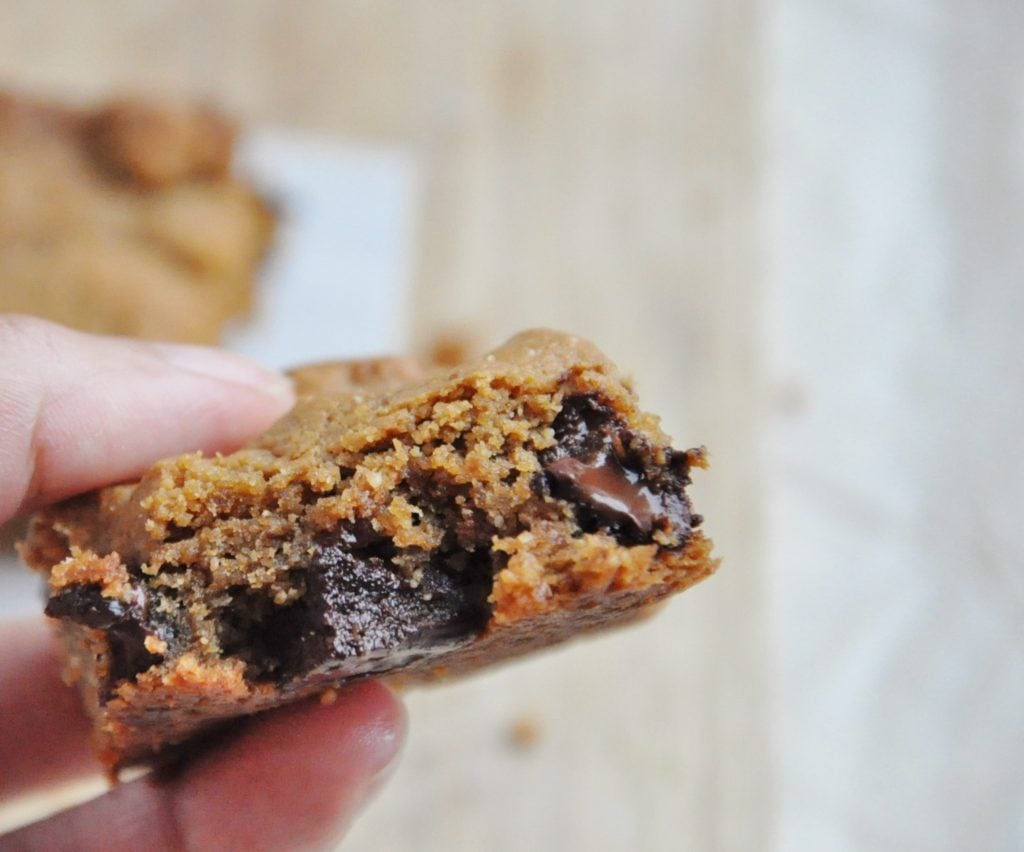 Peanut Butter Chocolate Chip Blondies