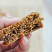 Peanut Butter Chocolate Chip Blondies