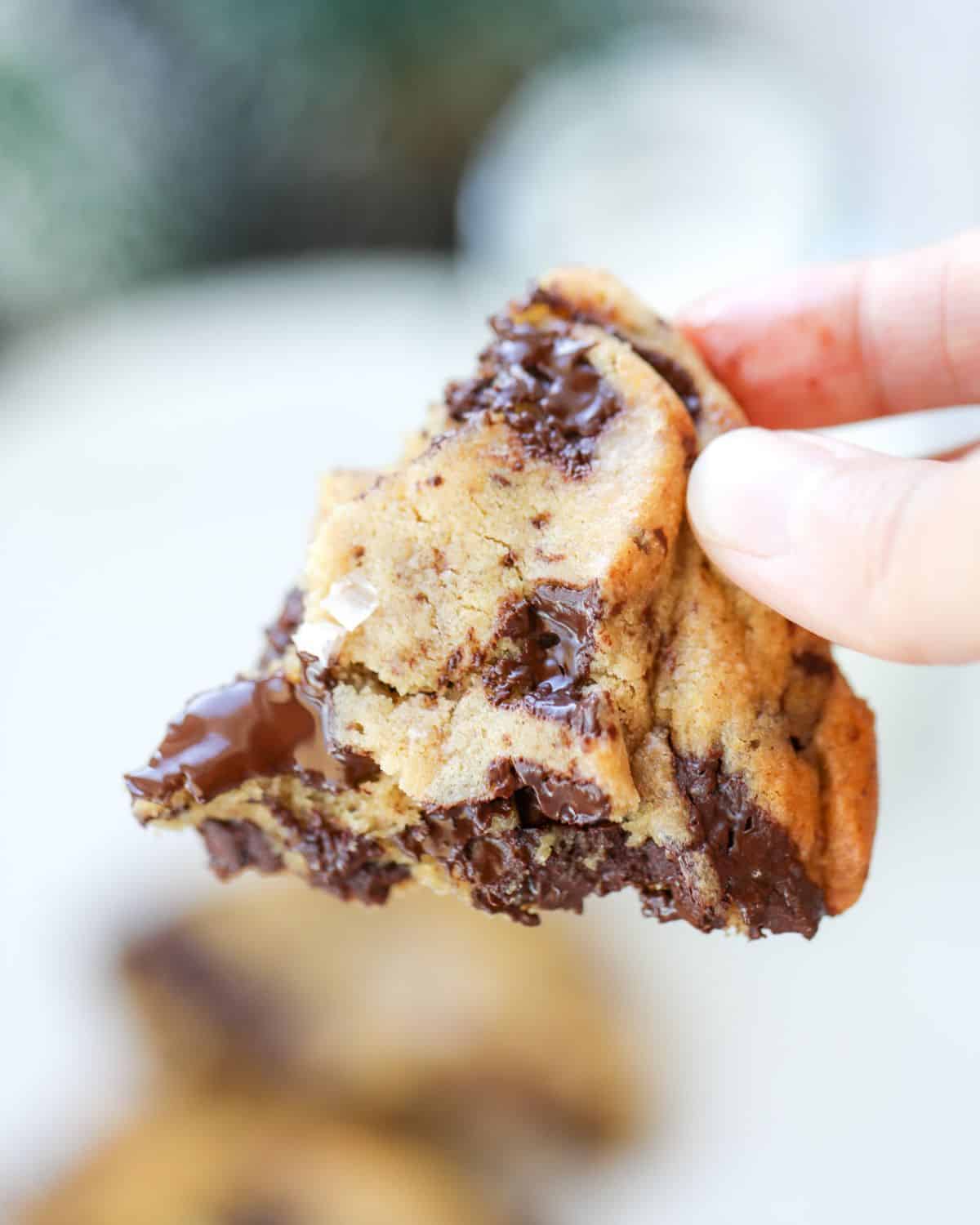 A hand holds a partially eaten chocolate chip cookie with visible melted chocolate chunks.