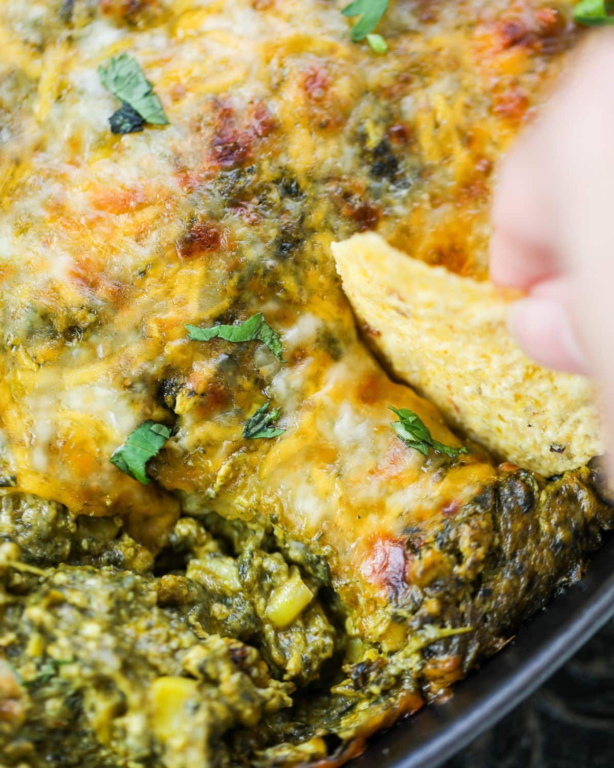 Close-up of a hand dipping a tortilla chip into a baked cheesy palak paneer dip with corn topped with melted cheese and garnished with fresh herbs.