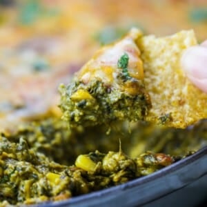A tortilla chip scooping up cheesy palak paneer dip with corn from a baking dish.