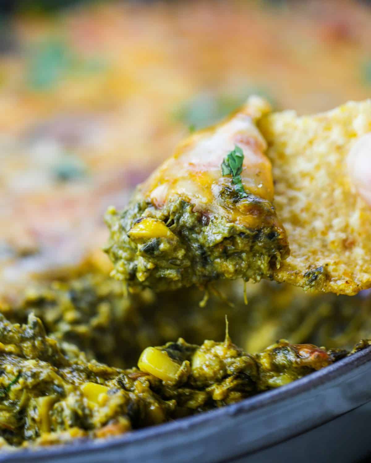 A tortilla chip scooping up cheesy palak paneer dip with corn from a baking dish.