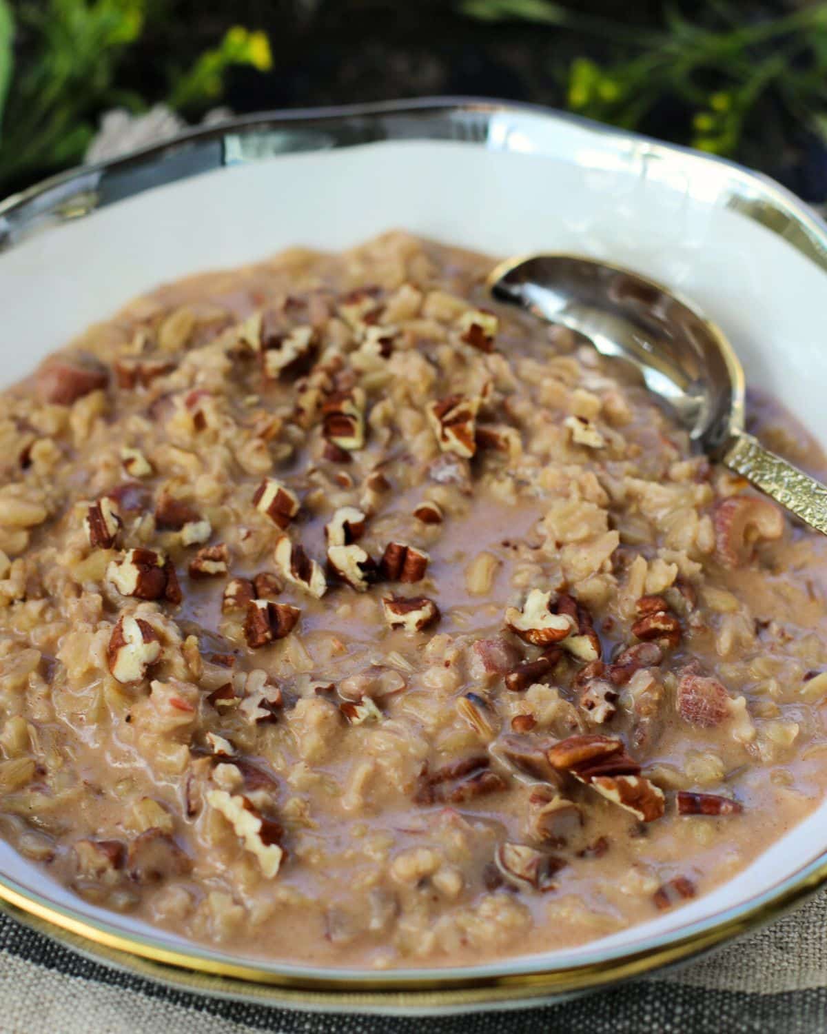 A bowl of oatmeal topped with chopped pecans, with a spoon resting on the rim.